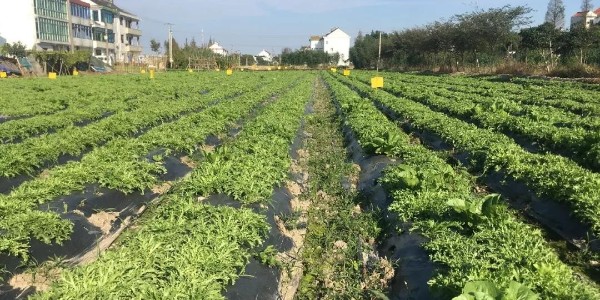 【力美新材料】生物降解地膜，農膜綠色革命